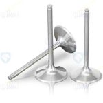 سوپاپ ورودی (هوا+بنزین)موتورTU5JP4-TU5P  ایساکو – گارانتی پلاس