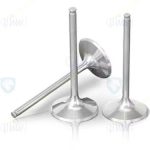 سوپاپ خروجی (دود)موتورTU5JP4-TU5P پژو 405 ایساکو – گارانتی پلاس