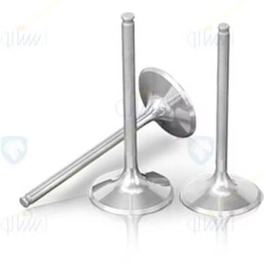 سوپاپ خروجی (دود)موتورTU5JP4-TU5P پژو 405 ایساکو – گارانتی پلاس