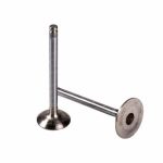 سوپاپ ورودی (هوا+بنزین) موتور TU3  ایساکو – گارانتی پلاس - Image 2