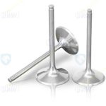 سوپاپ ورودی (هوا+بنزین) موتور TU3  ایساکو – گارانتی پلاس