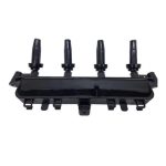 مجموعه کویل دوبل یکپارچه با محافظ شمع موتور TU3A-P6L با EMS: SIEMENS پژو 206 ایساکو – گارانتی پلاس - Image 2